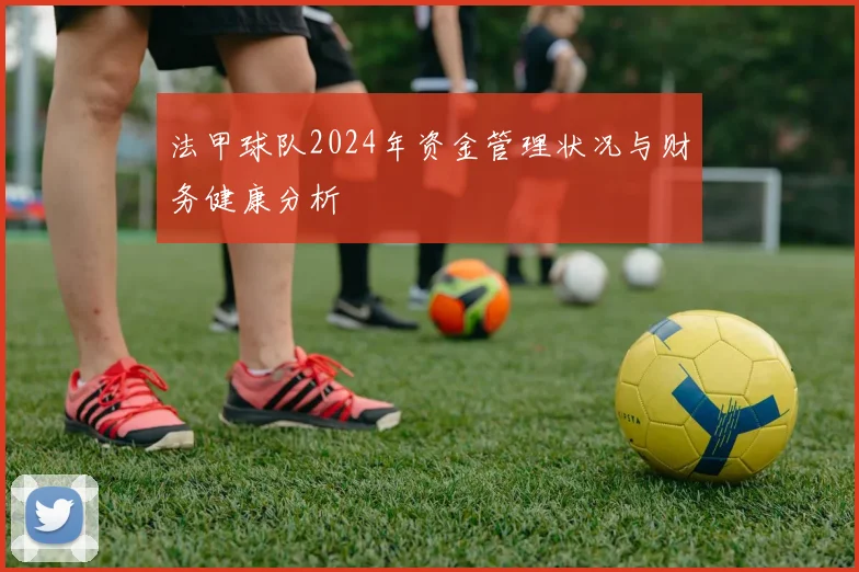 法甲球队2024年资金管理状况与财务健康分析
