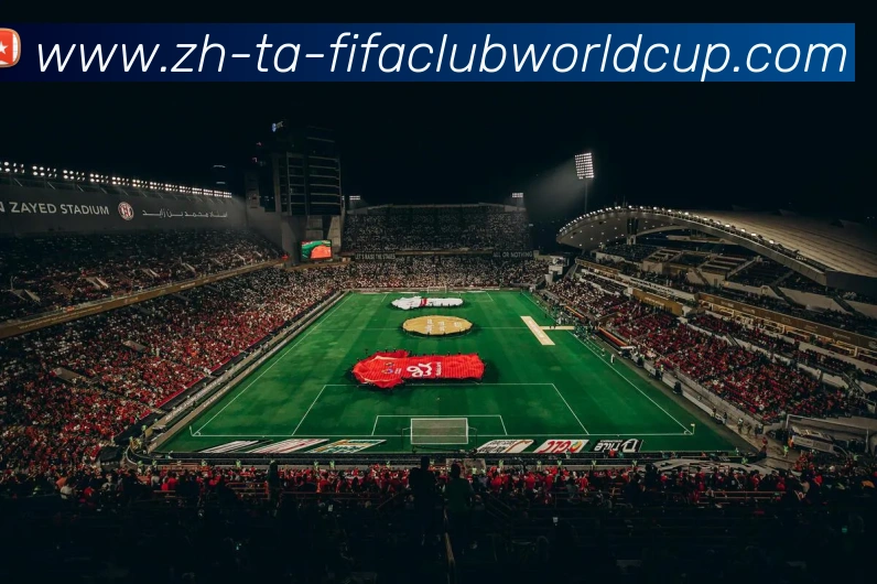 世界杯赛程平台生态图